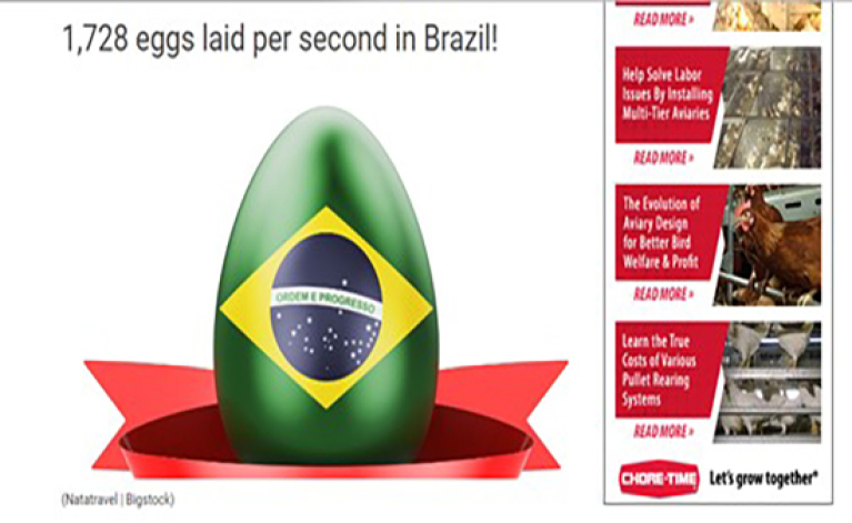 ¡1.728 huevos puestos por segundo en Brasil!